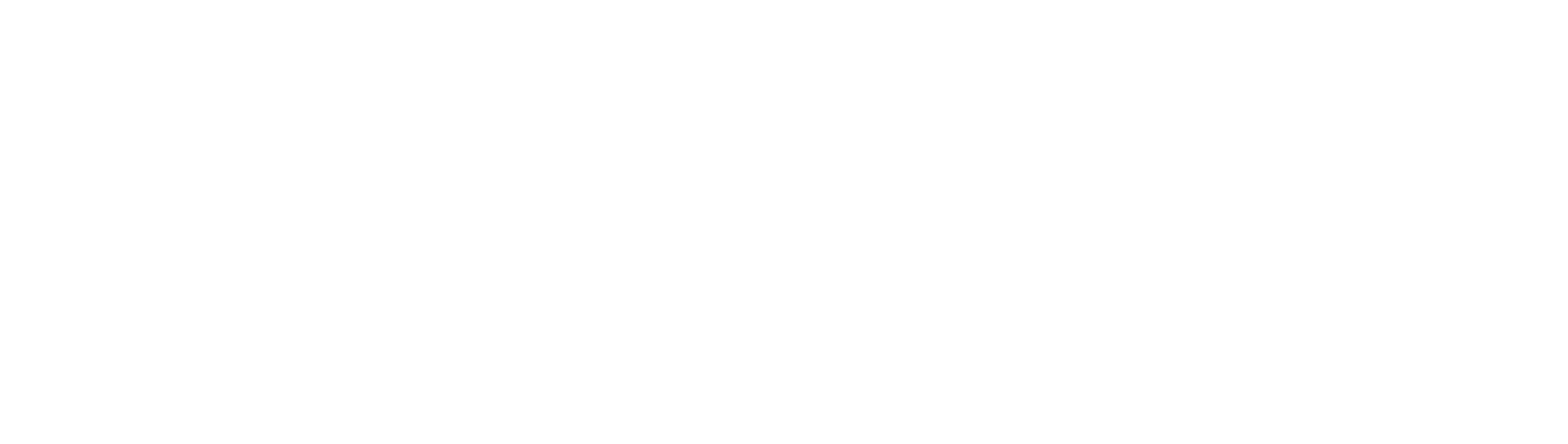 AI Summit NYE White Logo