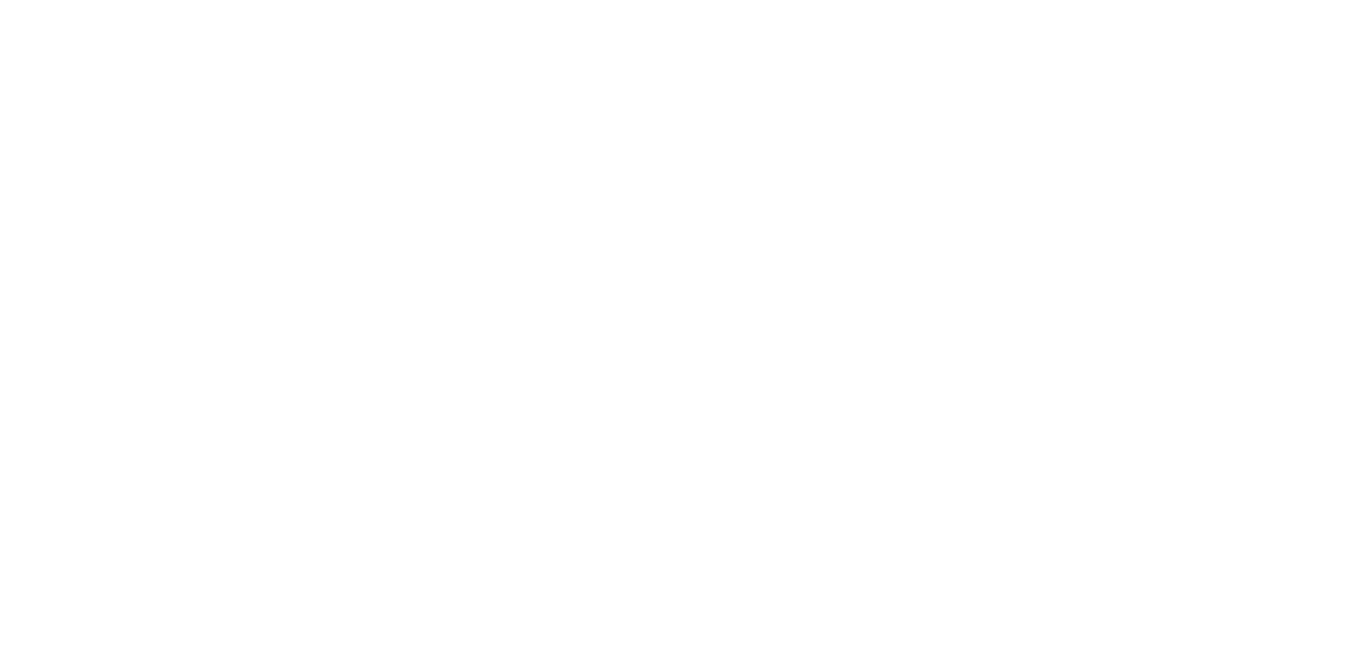 STAC White Logo